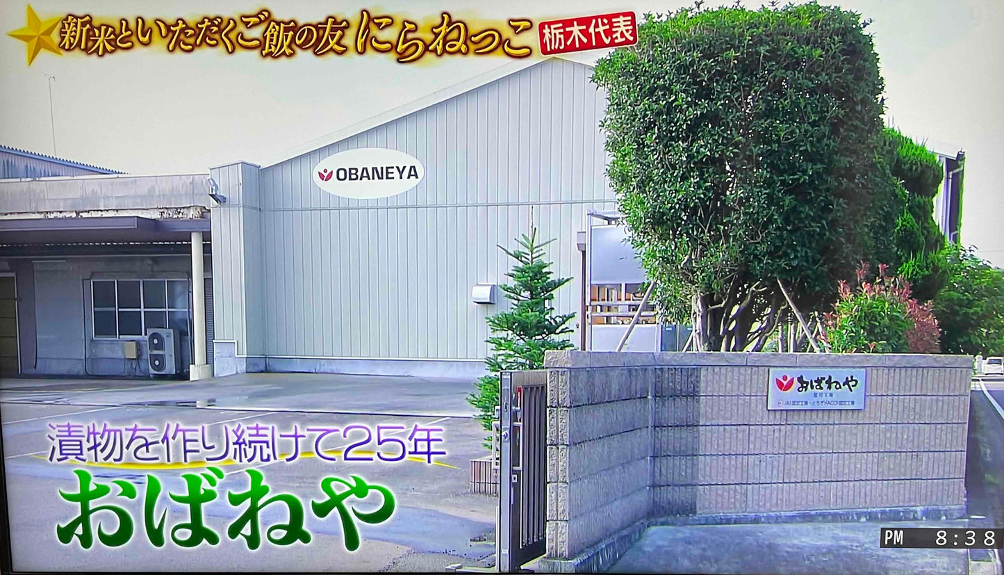 にらねっこ・地元愛たっぷり!ニラの旨みがぎゅっと詰まった『にらっこ』」