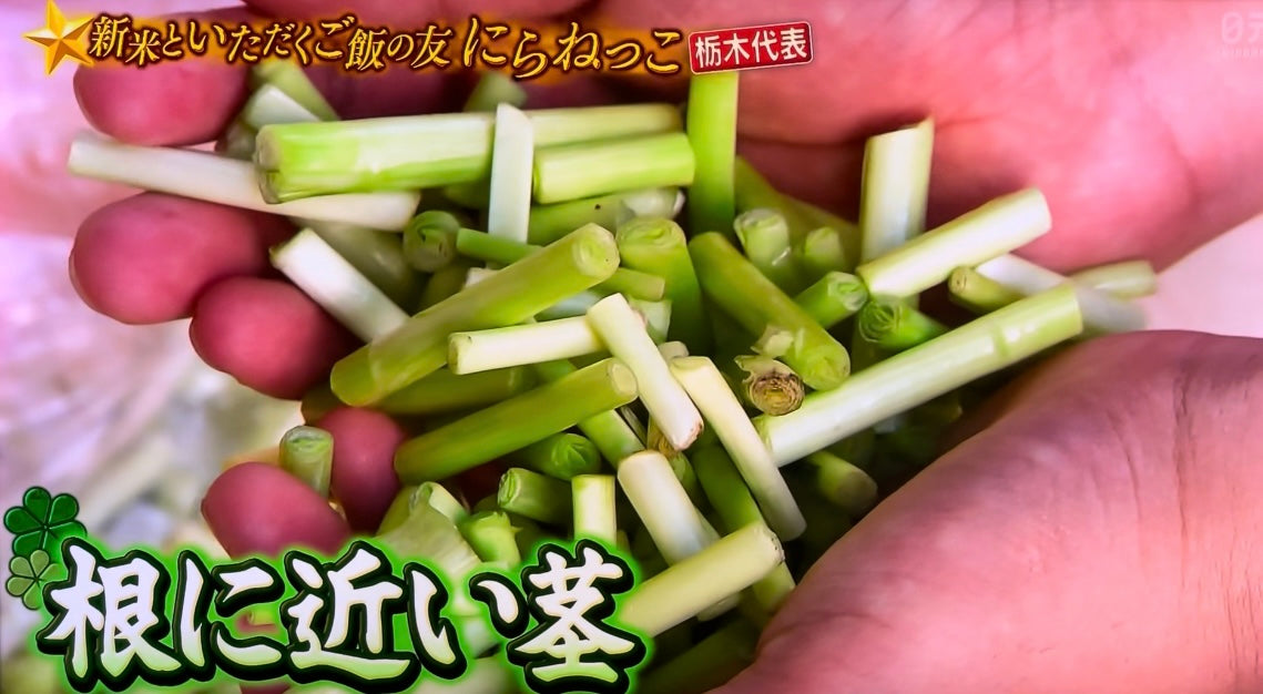にらねっこ・地元愛たっぷり!ニラの旨みがぎゅっと詰まった『にらっこ』」