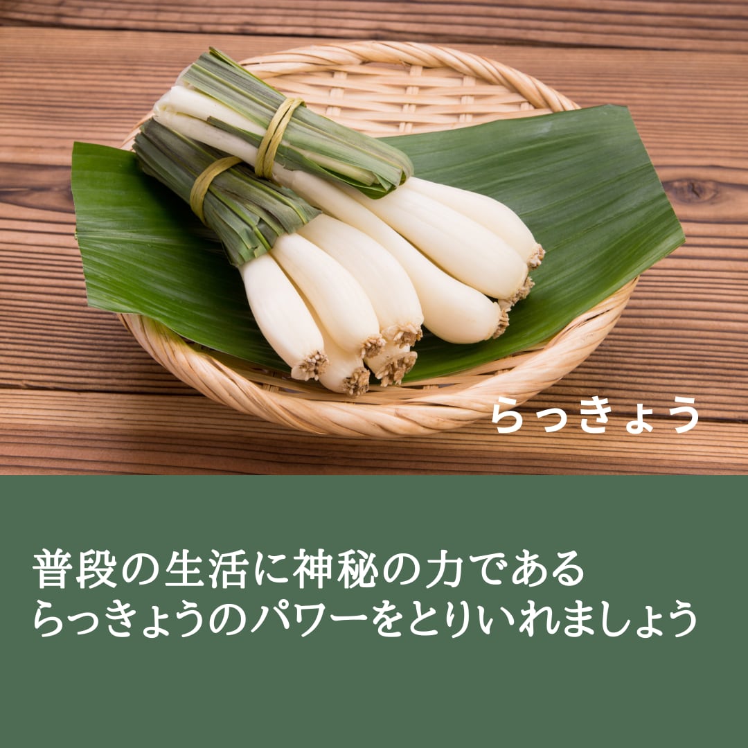 たまりらっきょう